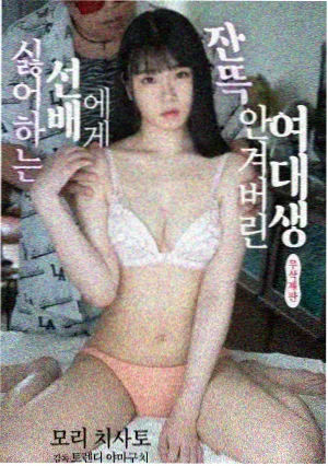 雾中灯塔剧集封面